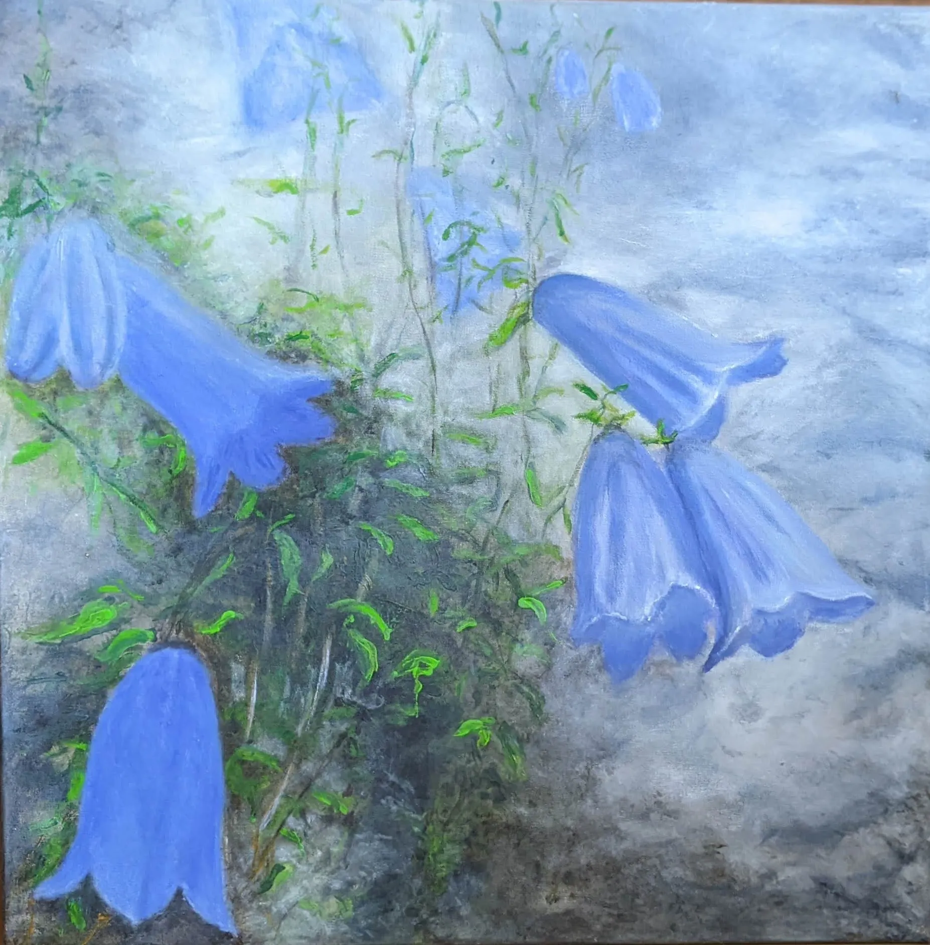 Glockenblumen