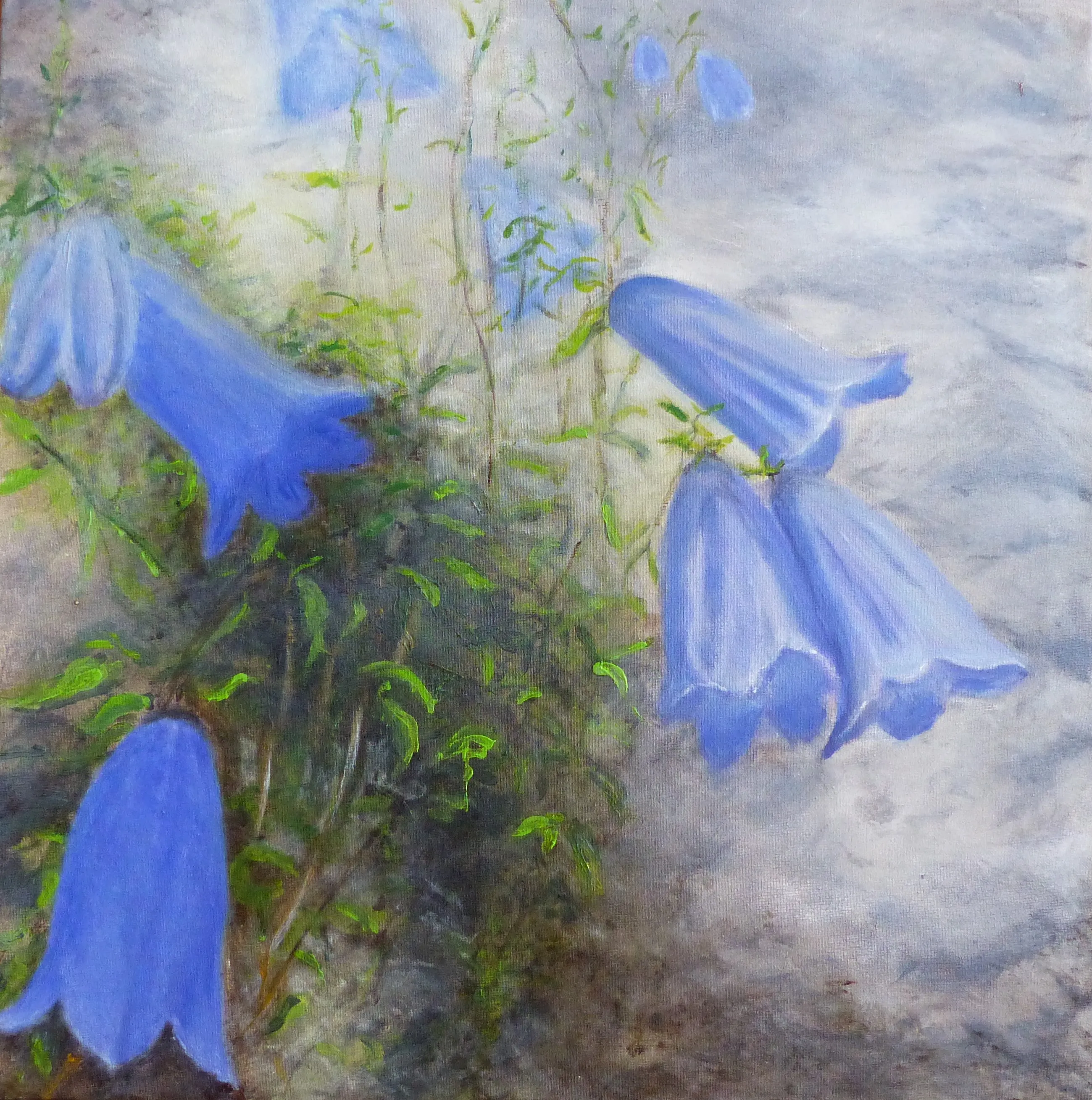 Glockenblumen